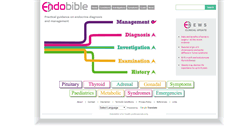 Desktop Screenshot of endobible.com