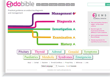 Tablet Screenshot of endobible.com